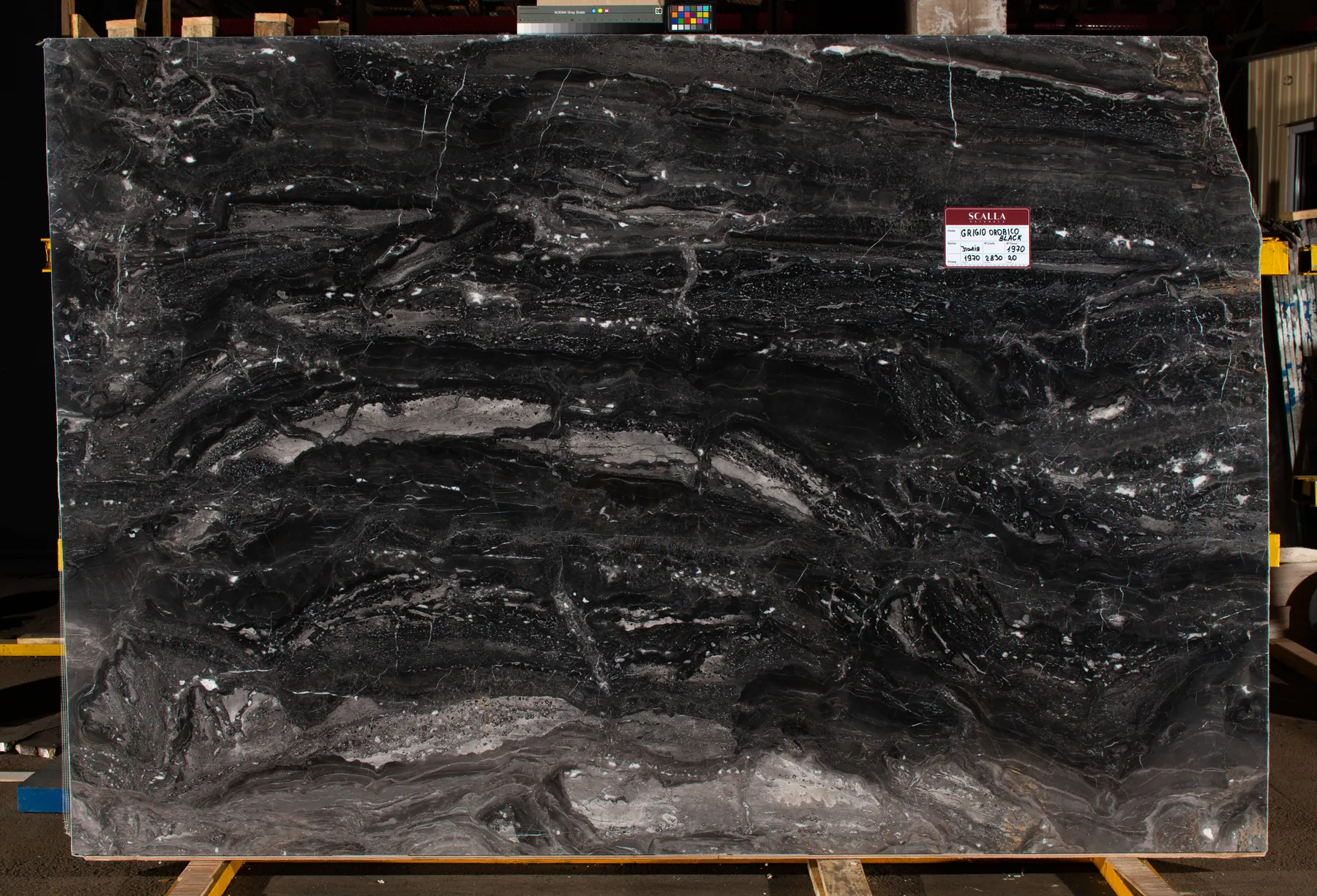Black Grigio Orobico