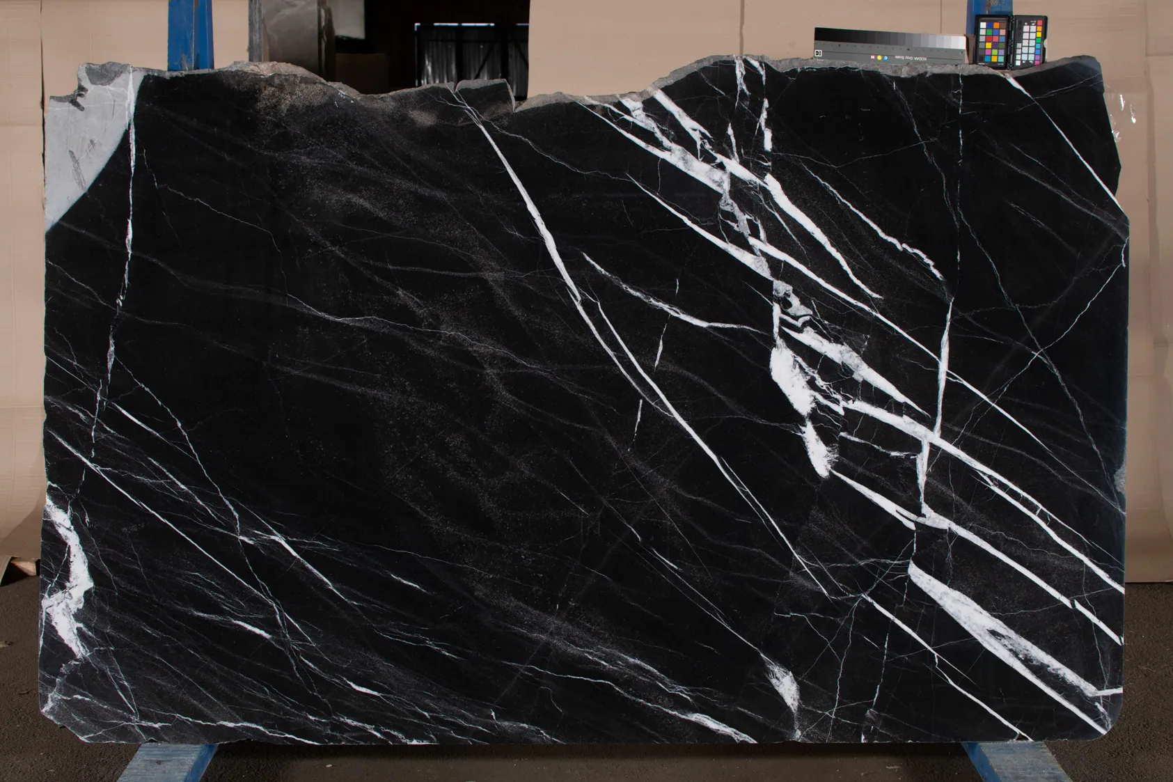 Calacatta Black