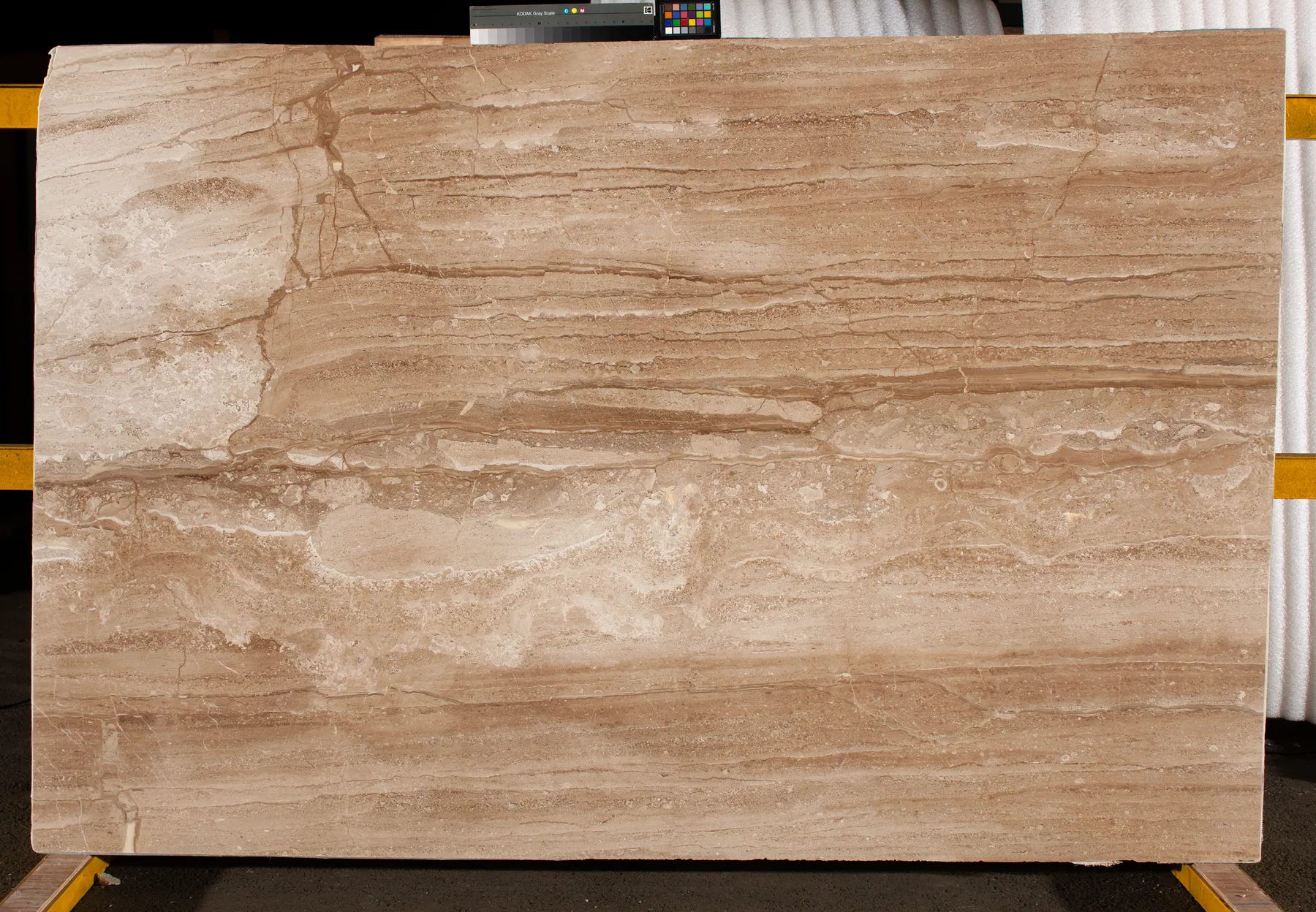 Daino Reale 3cm