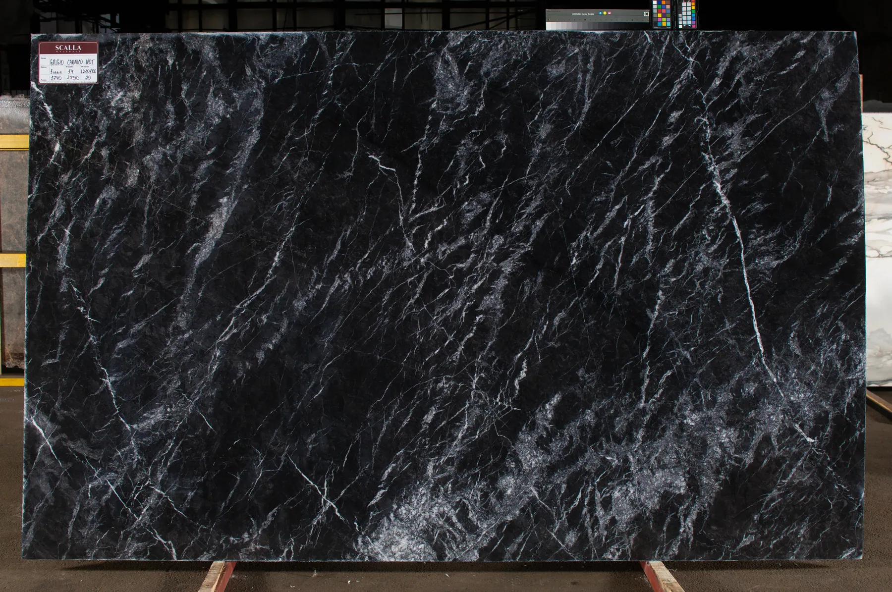 Grigio Carnico