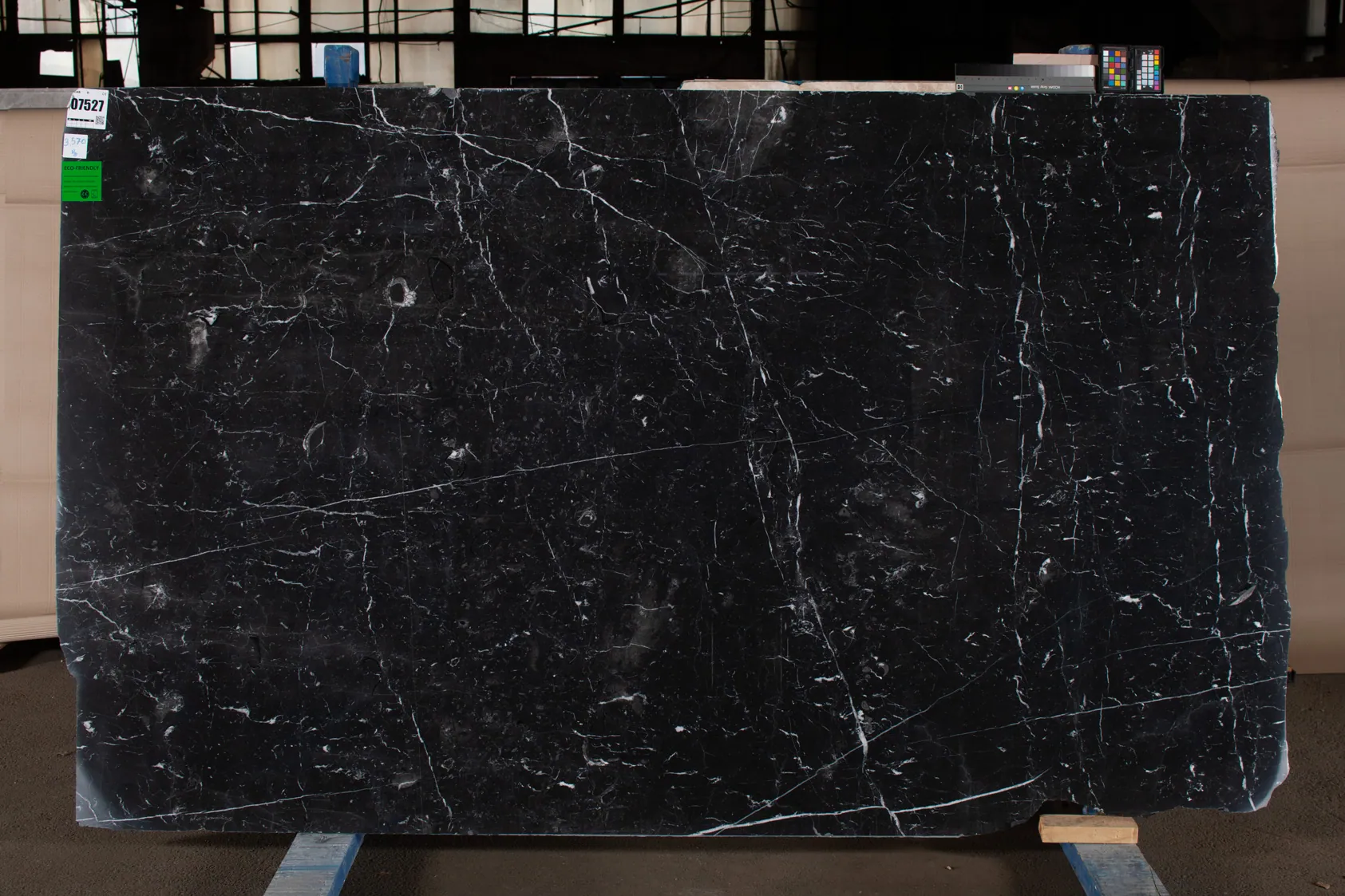 Negro Marquino(1)