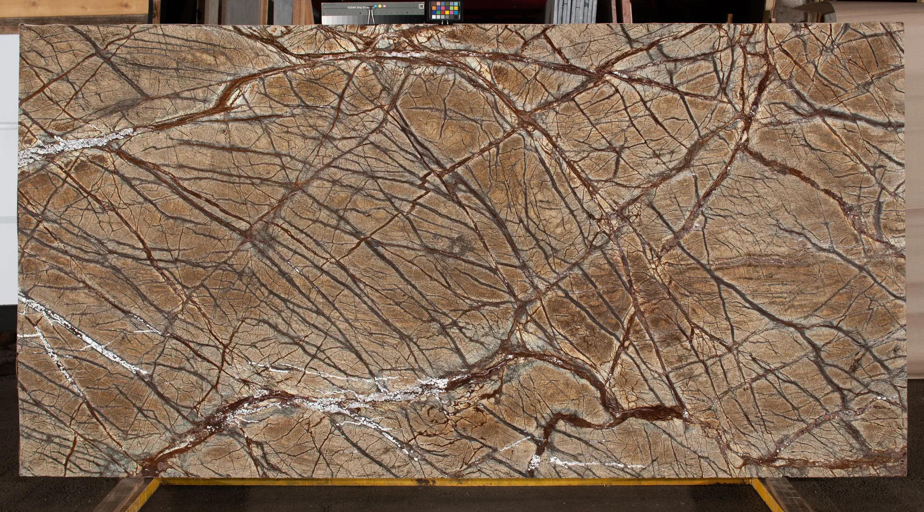 Rainforest Brown Polished