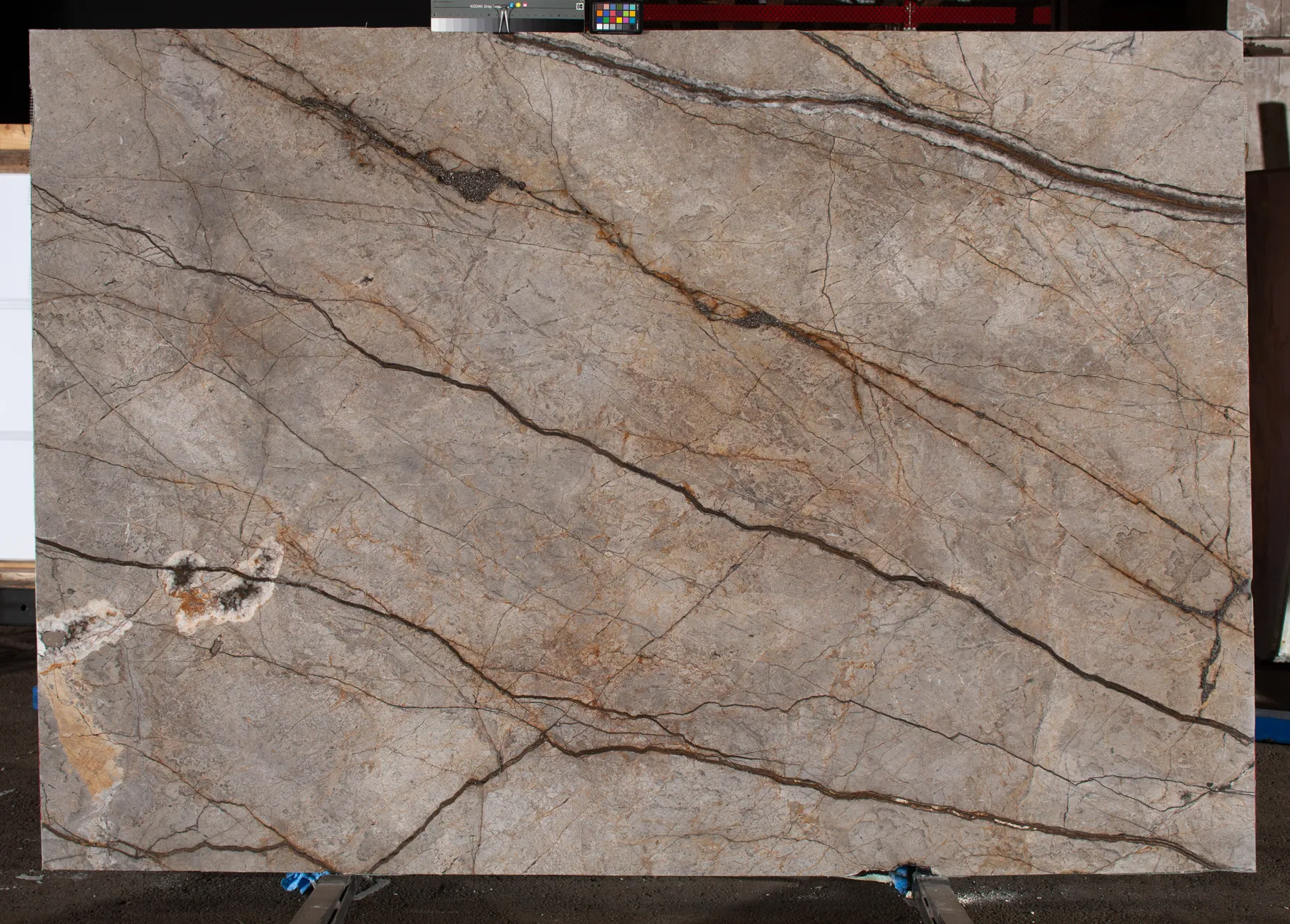 Silver Root Polished