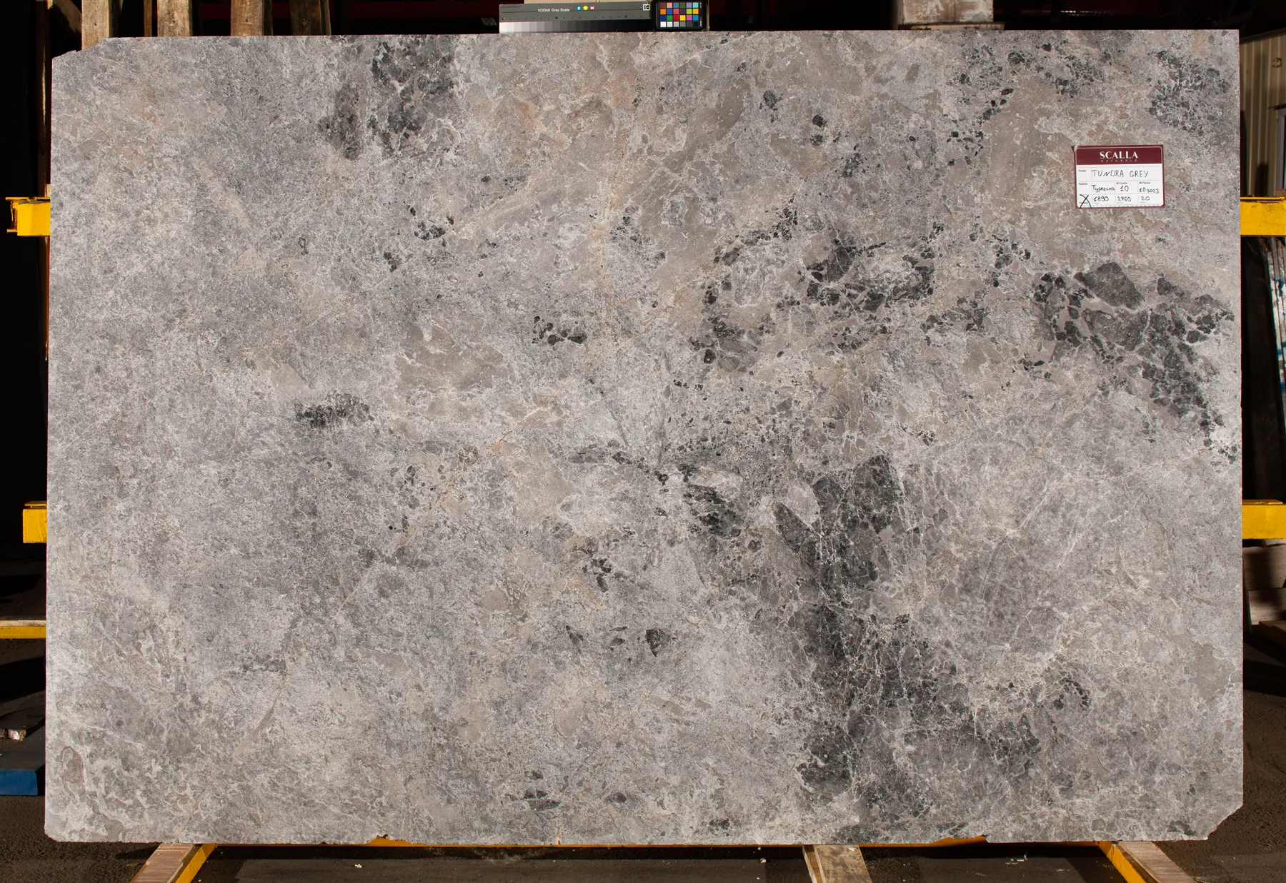 Tundra Grey(1)