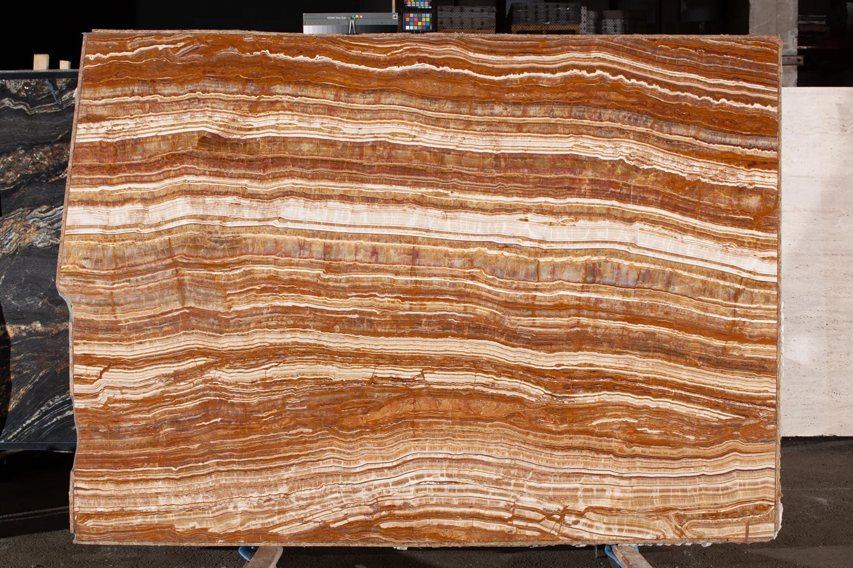 Onyx Esperado(1)