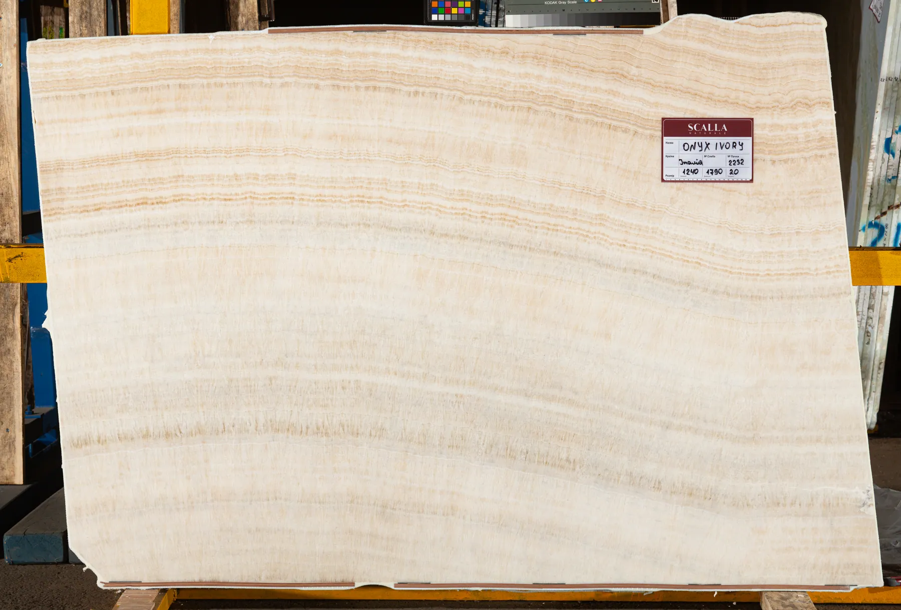 Onyx Ivory(2)