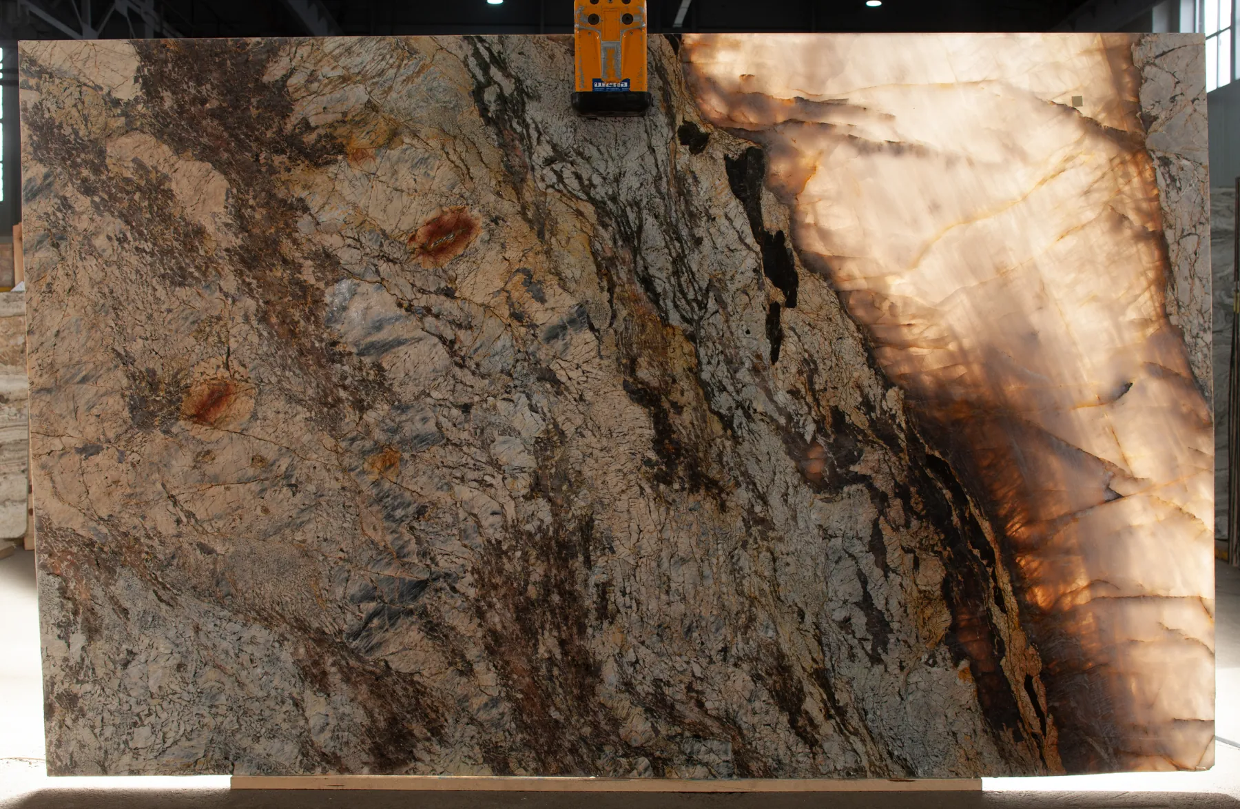 Patagonia Gold (4)