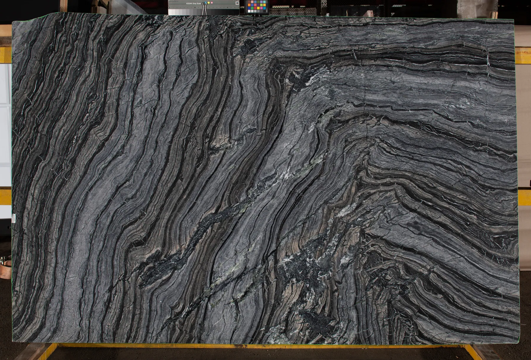 Silver Wave