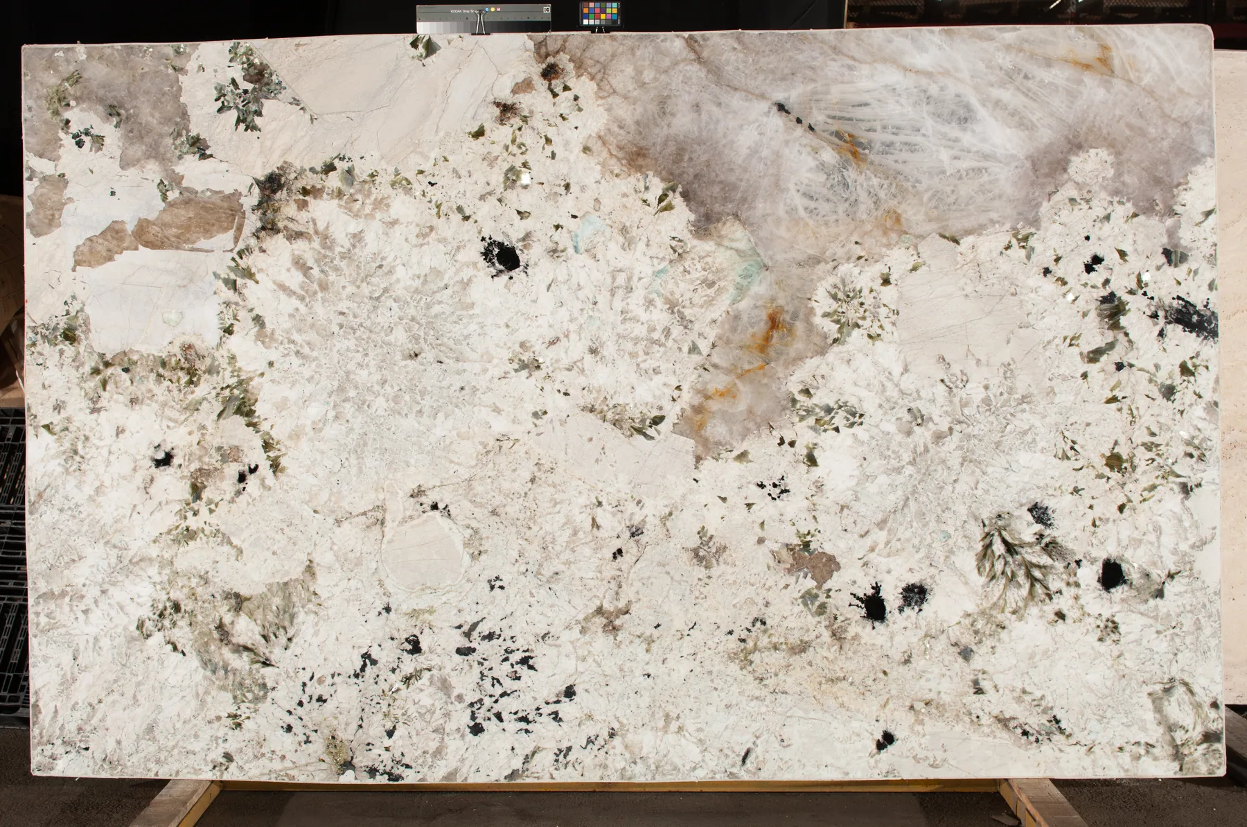 White Patagonia